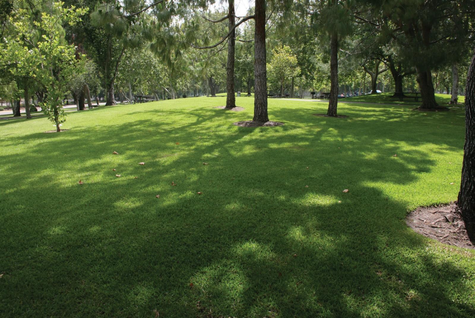 /Files/PROJECT_FILE/d91a7dd3-17e8-41bd-930e-a3b8ec272ac0/YORBA REGIONAL PARK.jpg